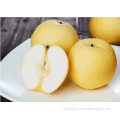 /msite/products/detail/productid/56337353/id/572588.html